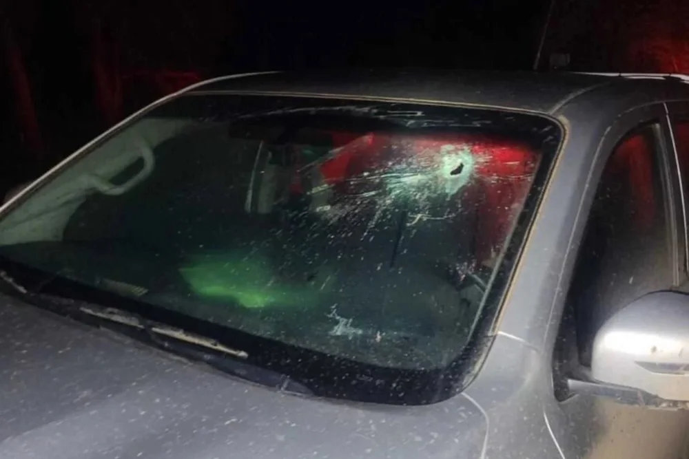 Camioneta emboscada en predio forestal de Mininco - CMPC