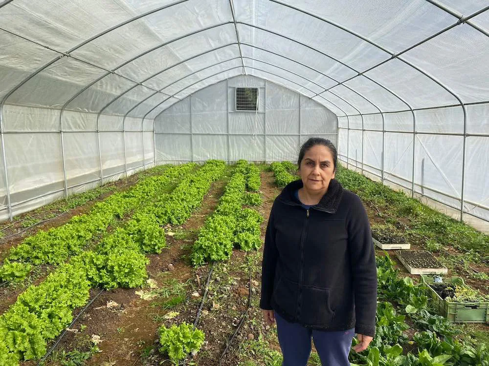 Programa reconversion forestal Zona de Rezago