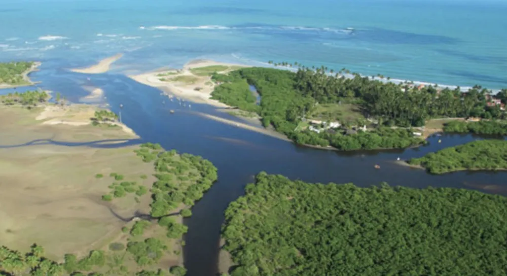 Estuarios en La Araucania
