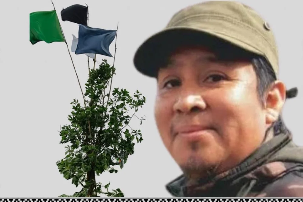 Rafael Pichun Collonao - werken de Temulemu