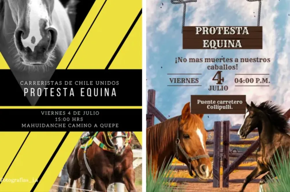 Protesta equina viernes 4 de julio de 2025