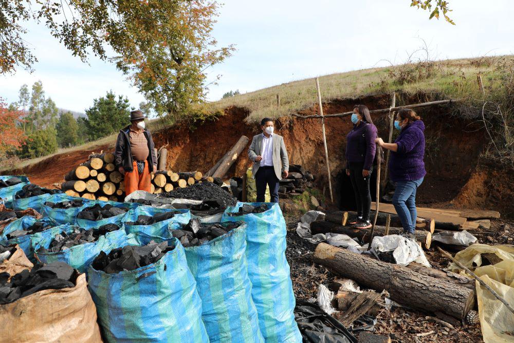 CONADI apoya la reactivación productiva de comunidades mapuche en La Araucanía
