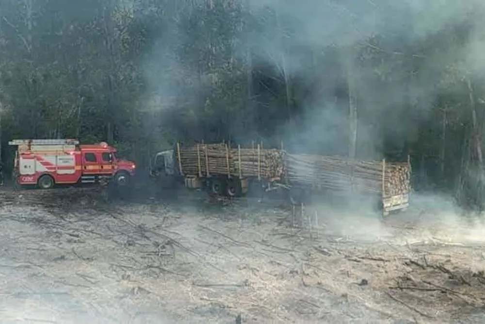 Ataque incendiario en Peleco - Nueva Imperial