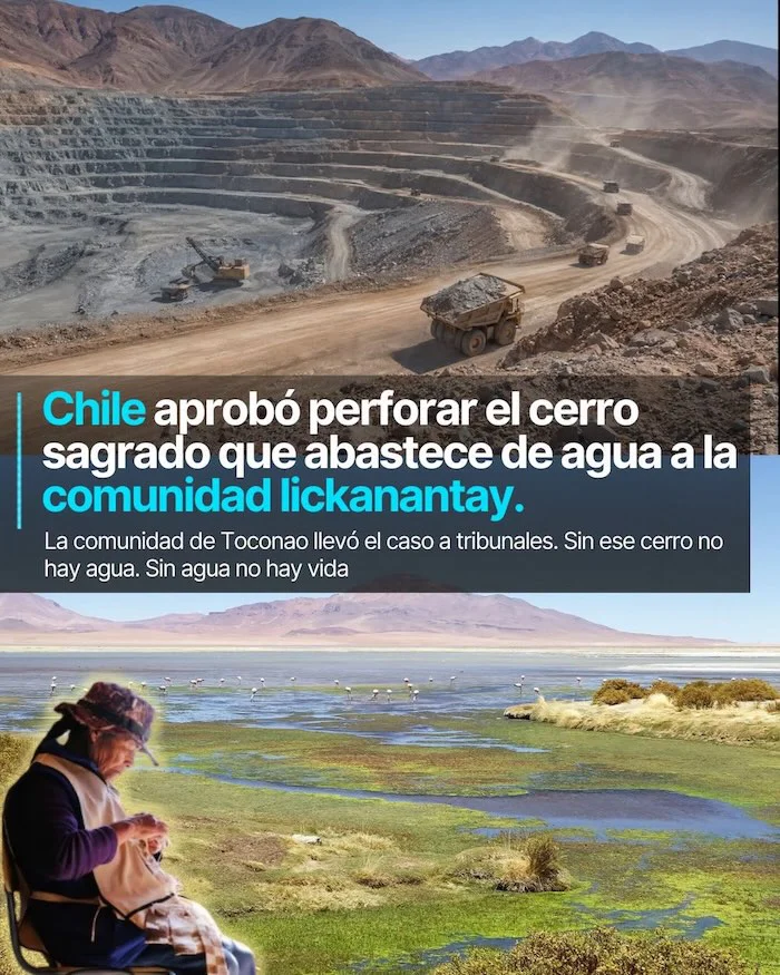 Sitio Ramsar y flamencos en grave riesgo