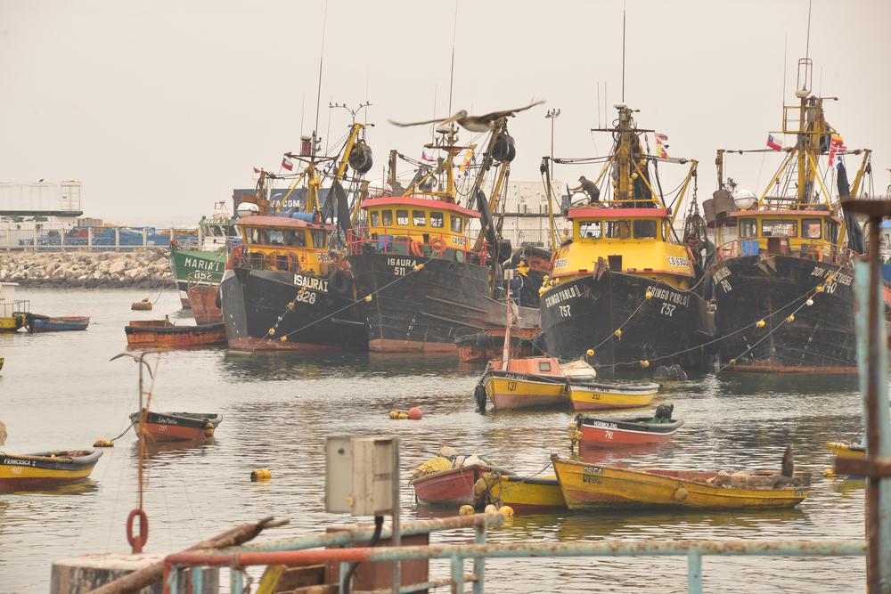 Sector pesquero artesanal.