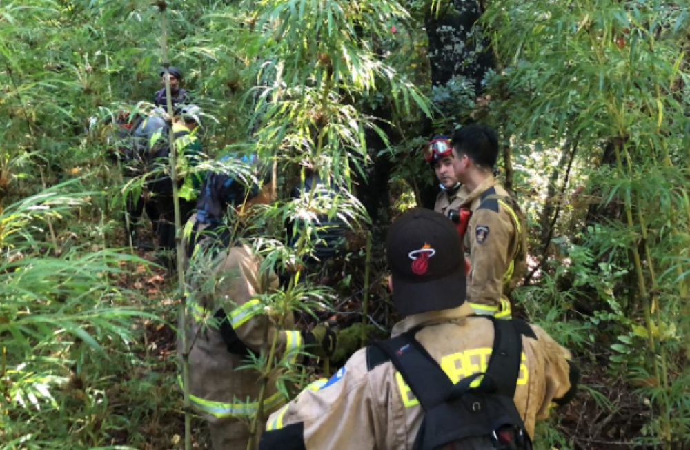 Labores de busqueda joven extraviado en Collipulli.