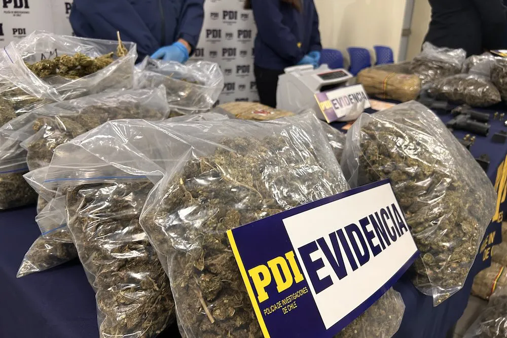 Cae banda de narcotraficantes internacional que traian droga a Temuco
