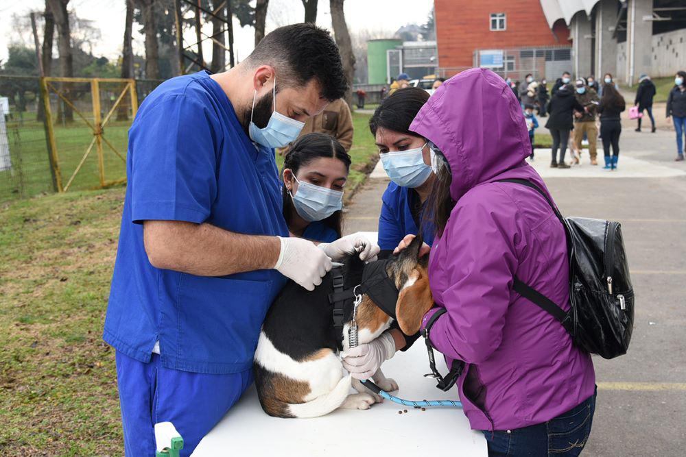 Operativo de vacunación