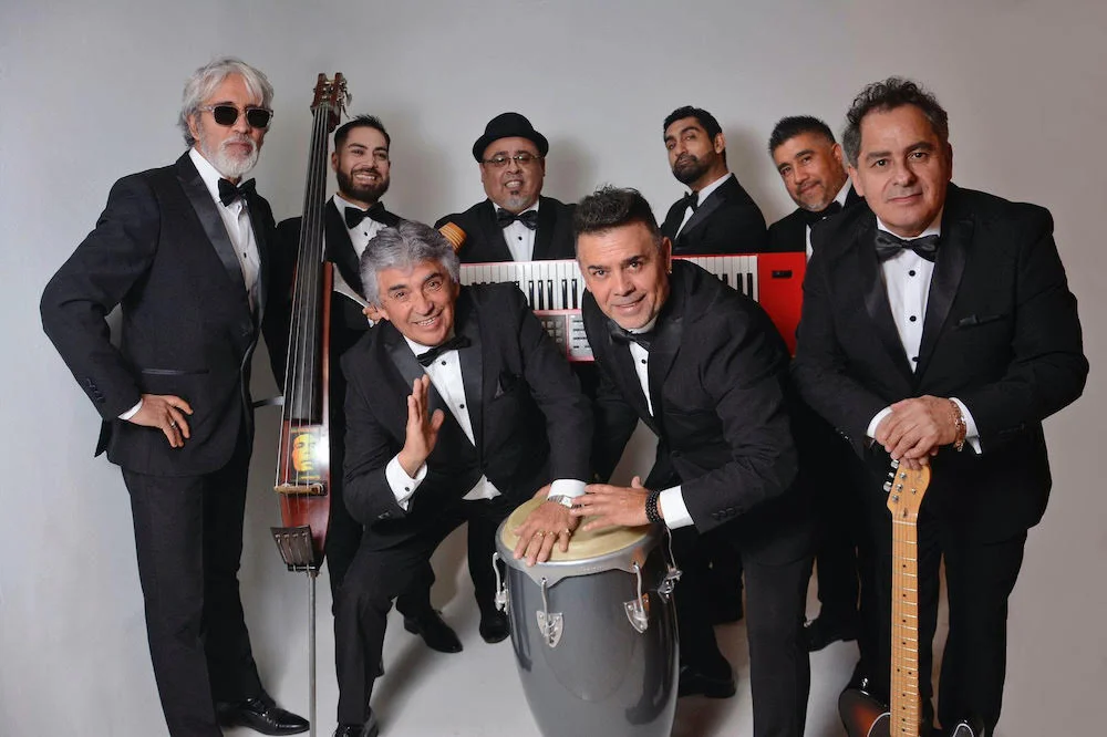 foto viking 5 años 2026