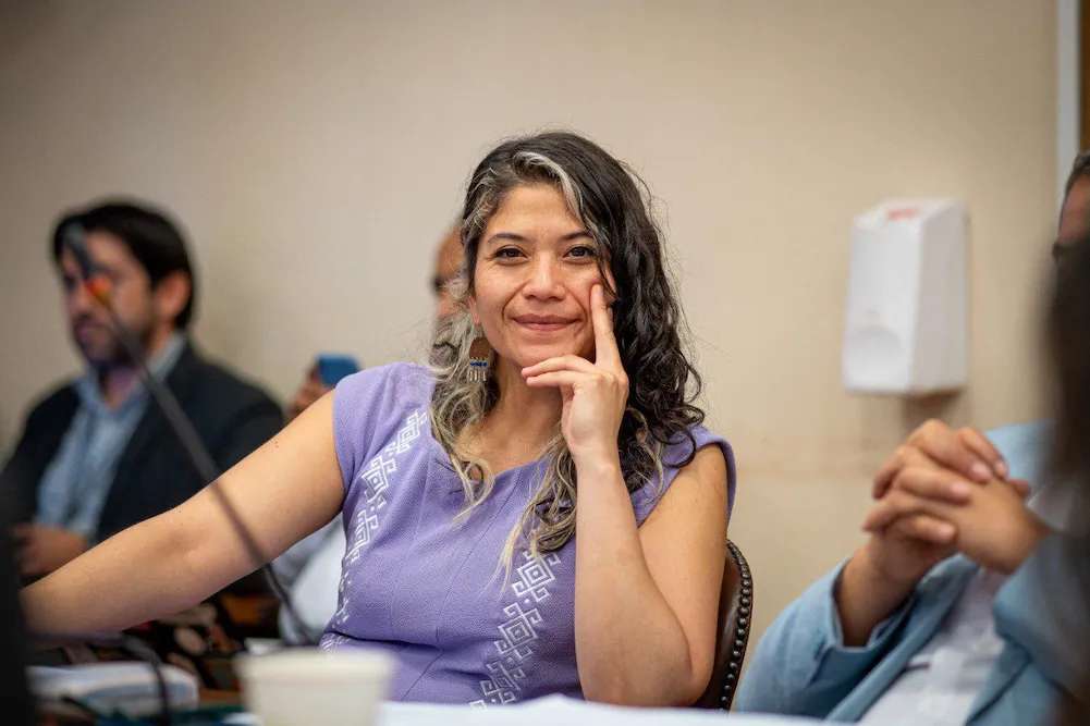 Diputada Ericka Nanco