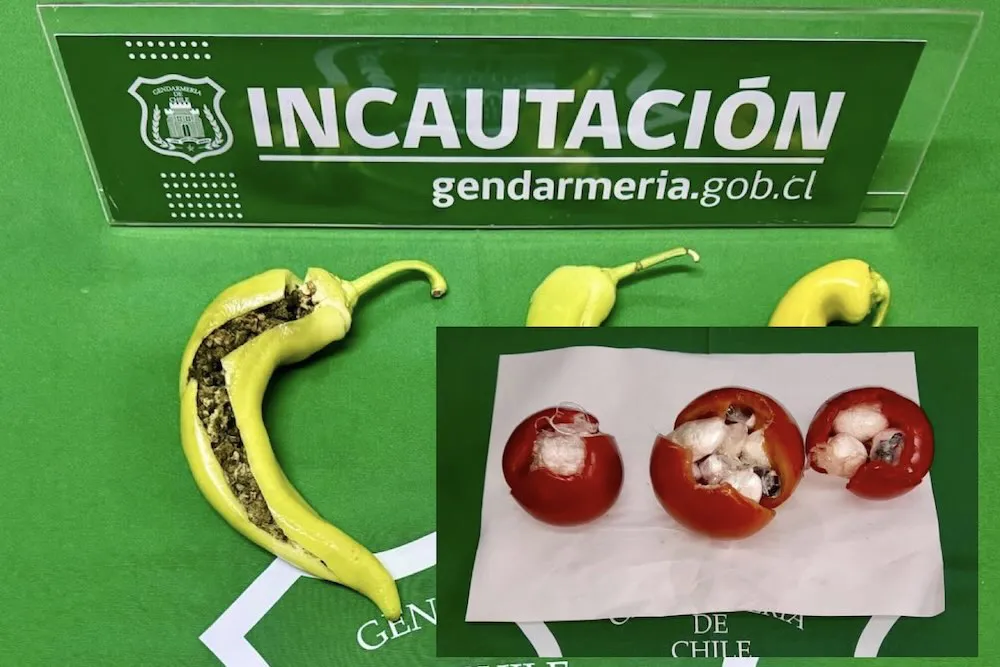 Incautacion de droga al interior de verduras - Gendarmeria