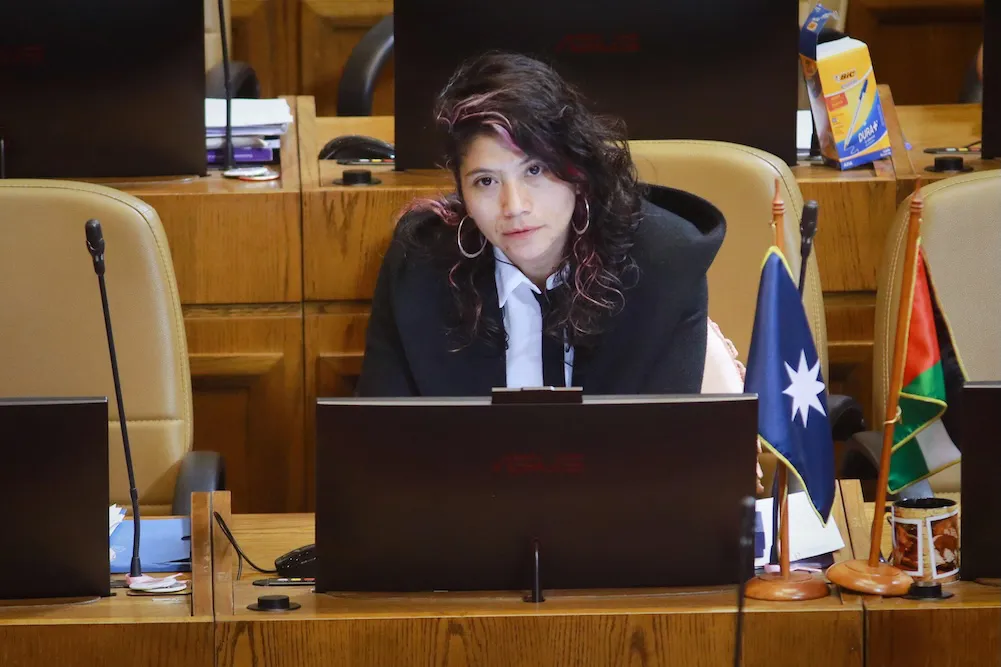 Diputada Erica Nanco