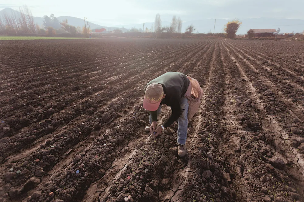 Imagen referencial agroseguros 001