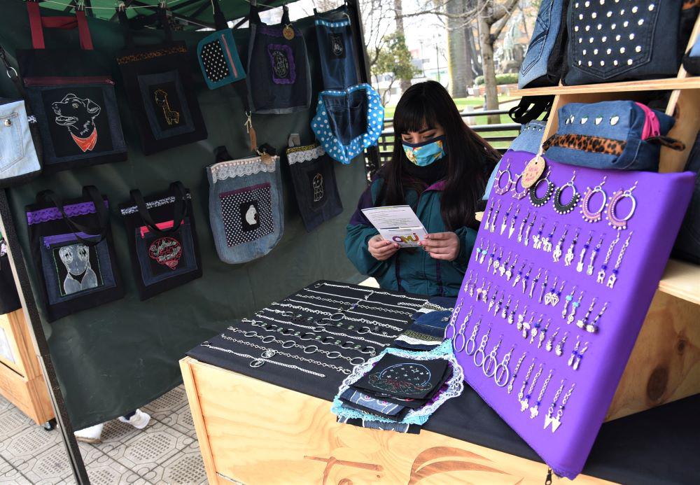 Expo emprendimiento jóvenes reúne a 20 emprendedores de Temuco 