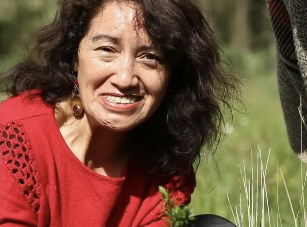 Ale Aillapan candidata a alcaldesa por Villarrica