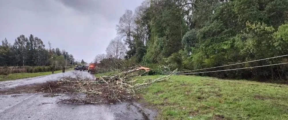 Poste derribado por arboles en Lautaro