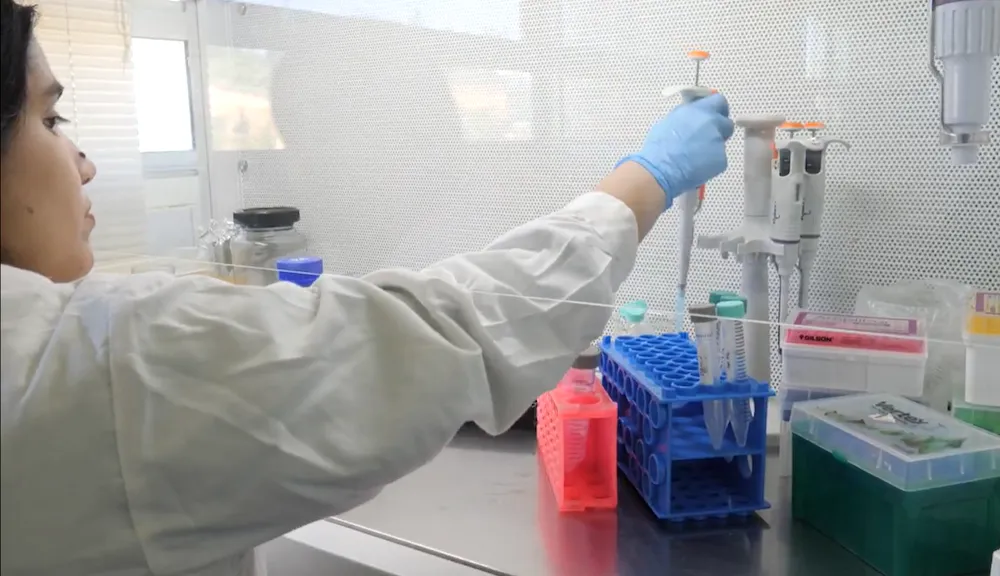 Laboratorio
