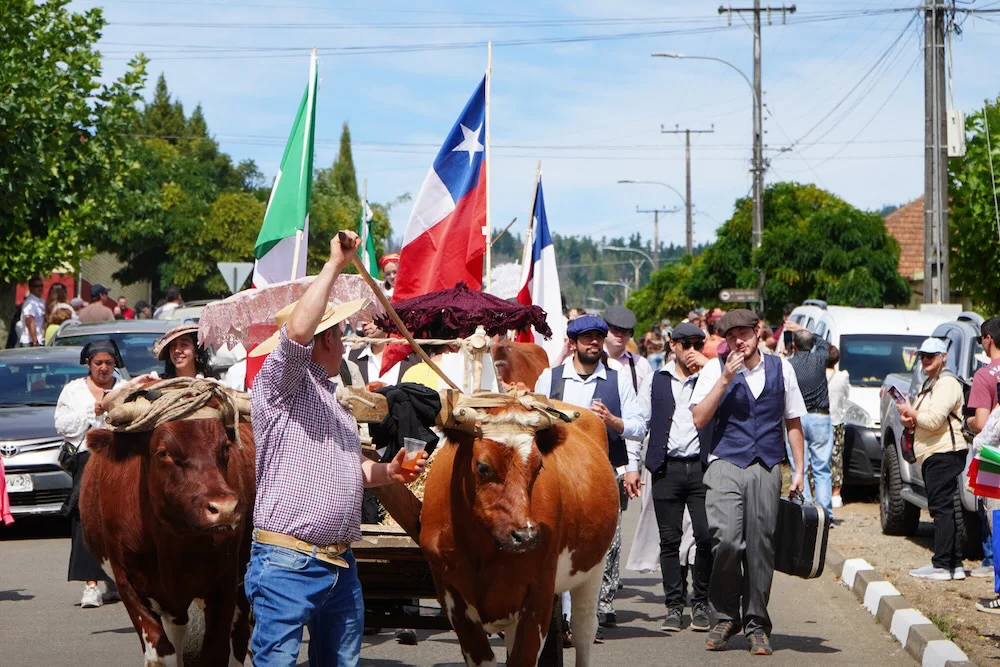 SAGRA 2026 Capitan Pastene