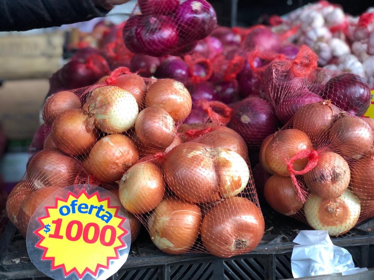 WhatsApp Image 2019-04-16 at 14.56.44 (1)