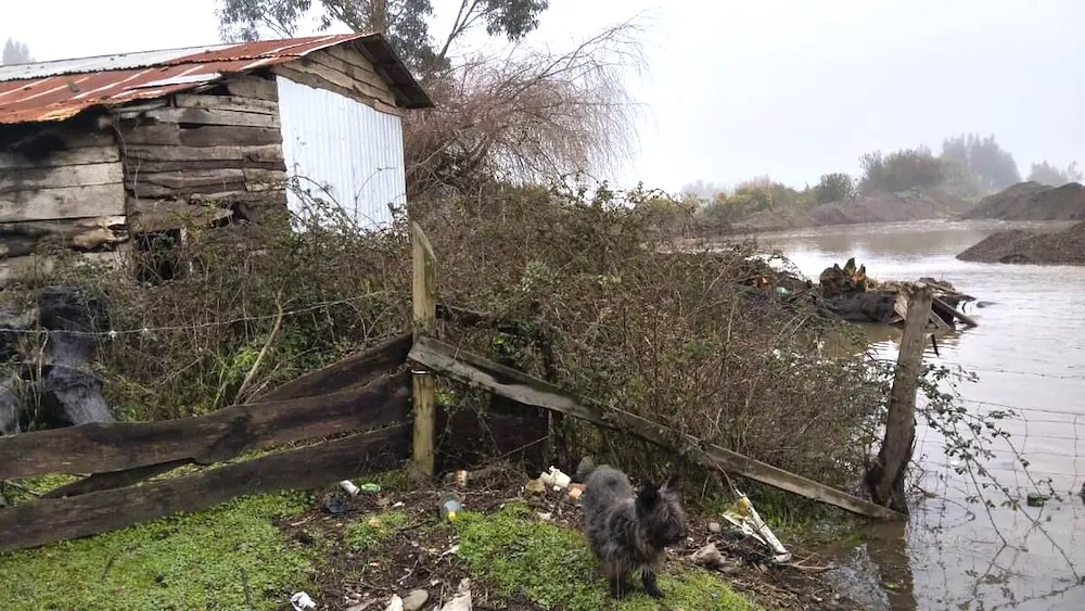 Inundaciones provincia de Cautin