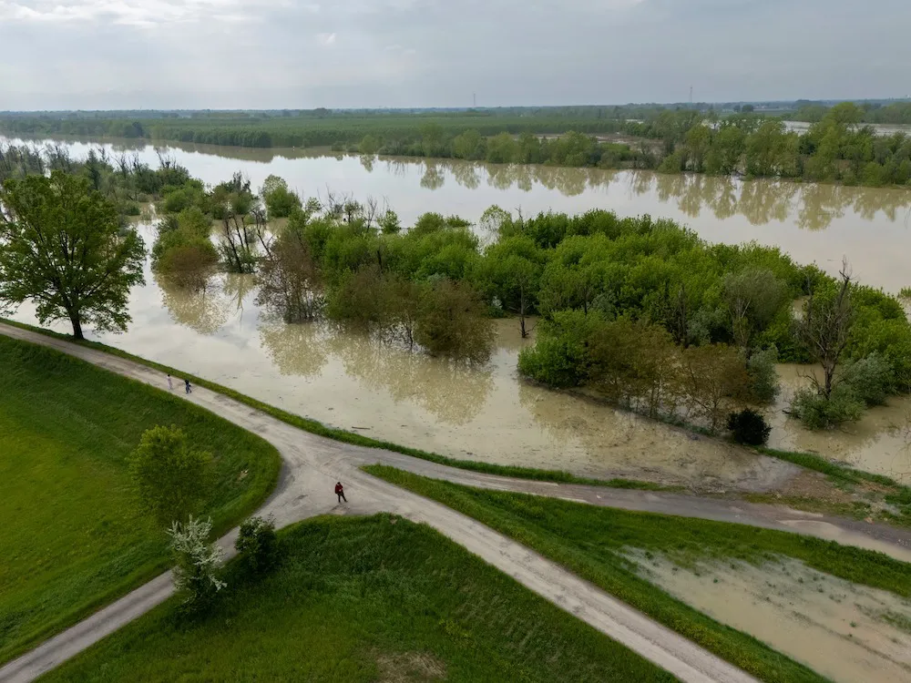 Siniestros agrícolas