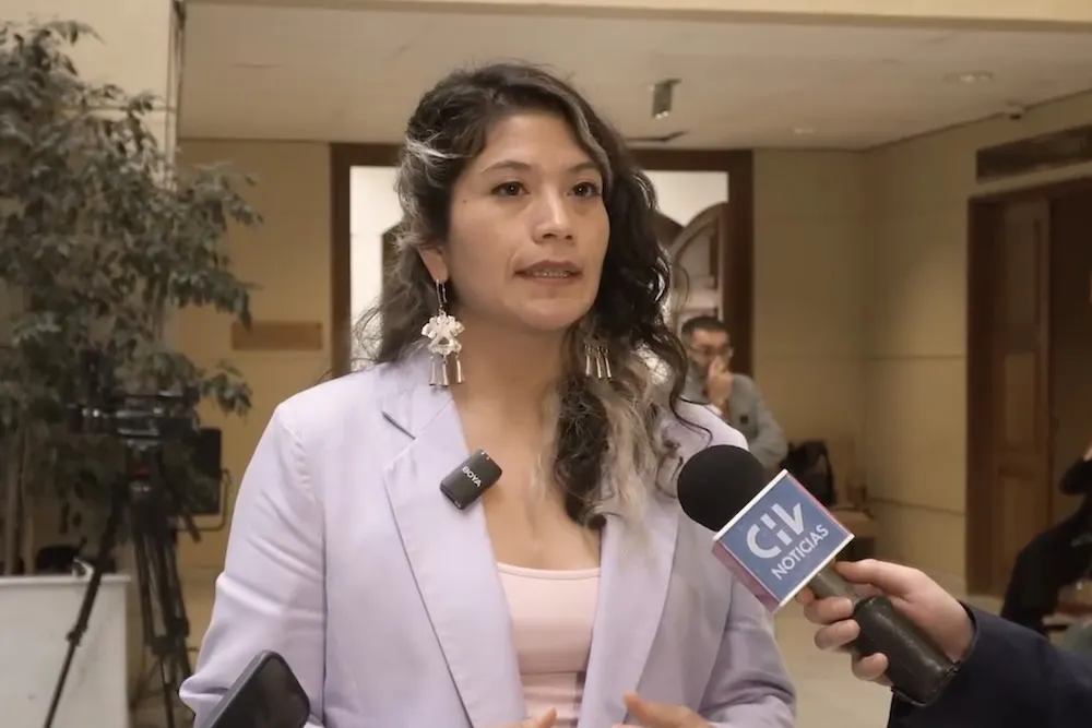 Diputada Ericka Nanco por Pliscoff