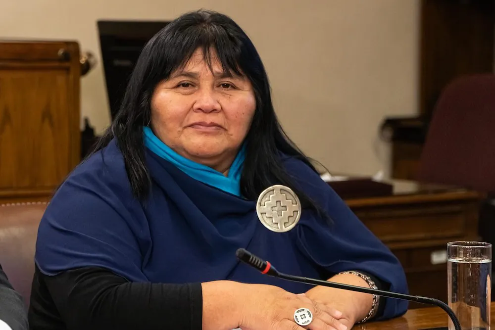 Diputada Emilia Nuyado