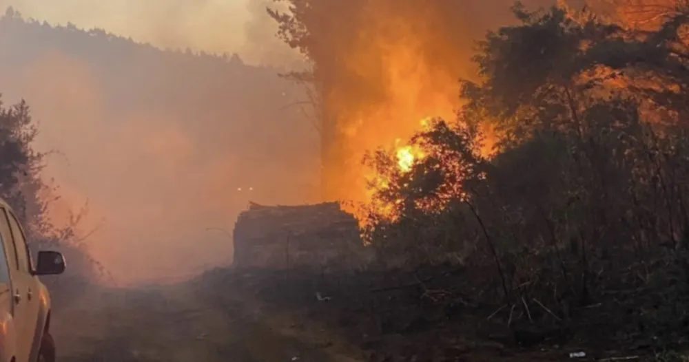 Incendio forestal fundo Budi - Teodoro Schmidt