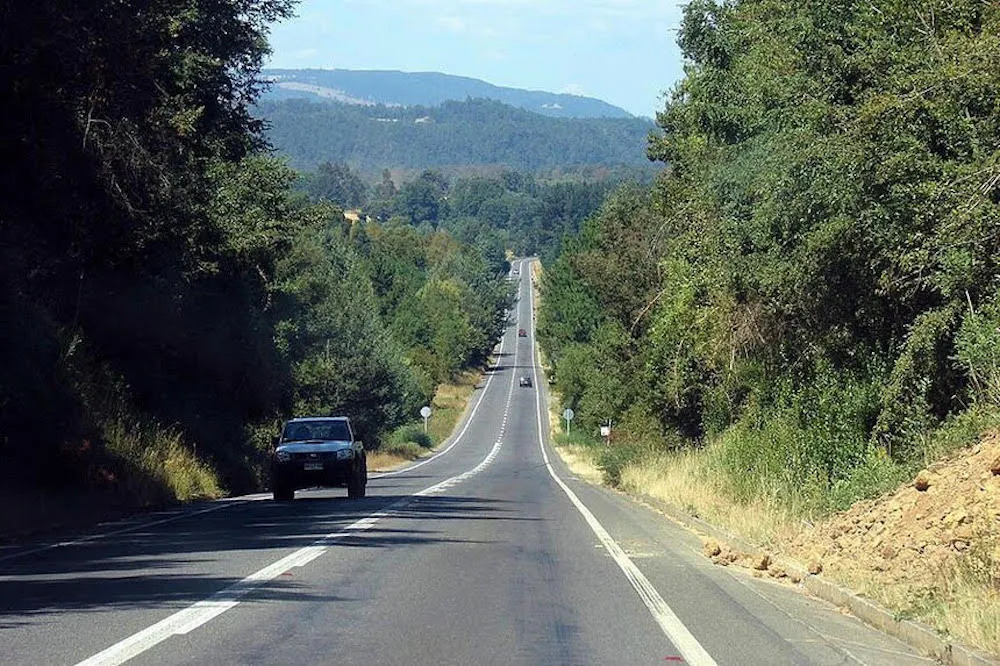 Ruta Freire Villarrica