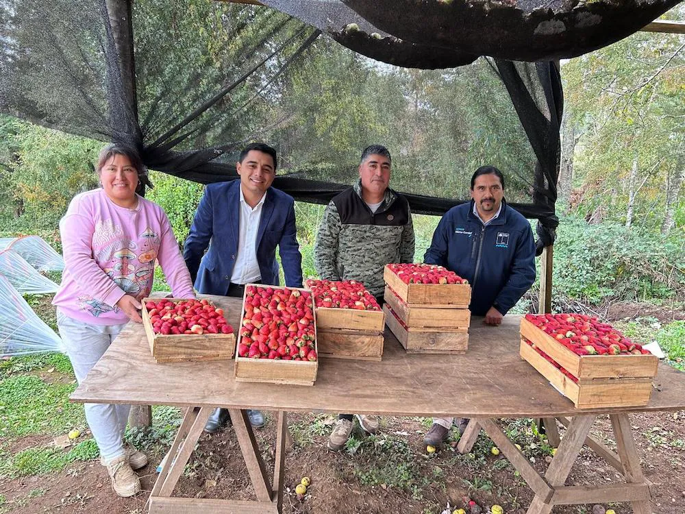 foto concursos riego