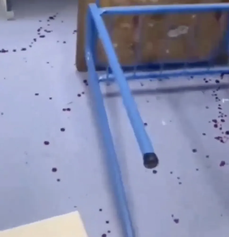 Alumna de 14 agredio a otra de 13 con unas tijeras en el Camilo Henriquez