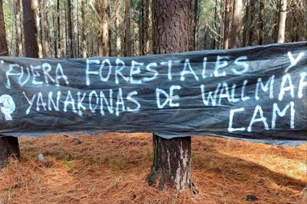 Coordinadora Arauco Malleco