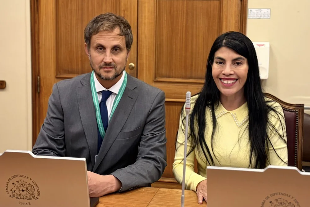 Exsubsecretario Rafael Araos y ministra Lincolao