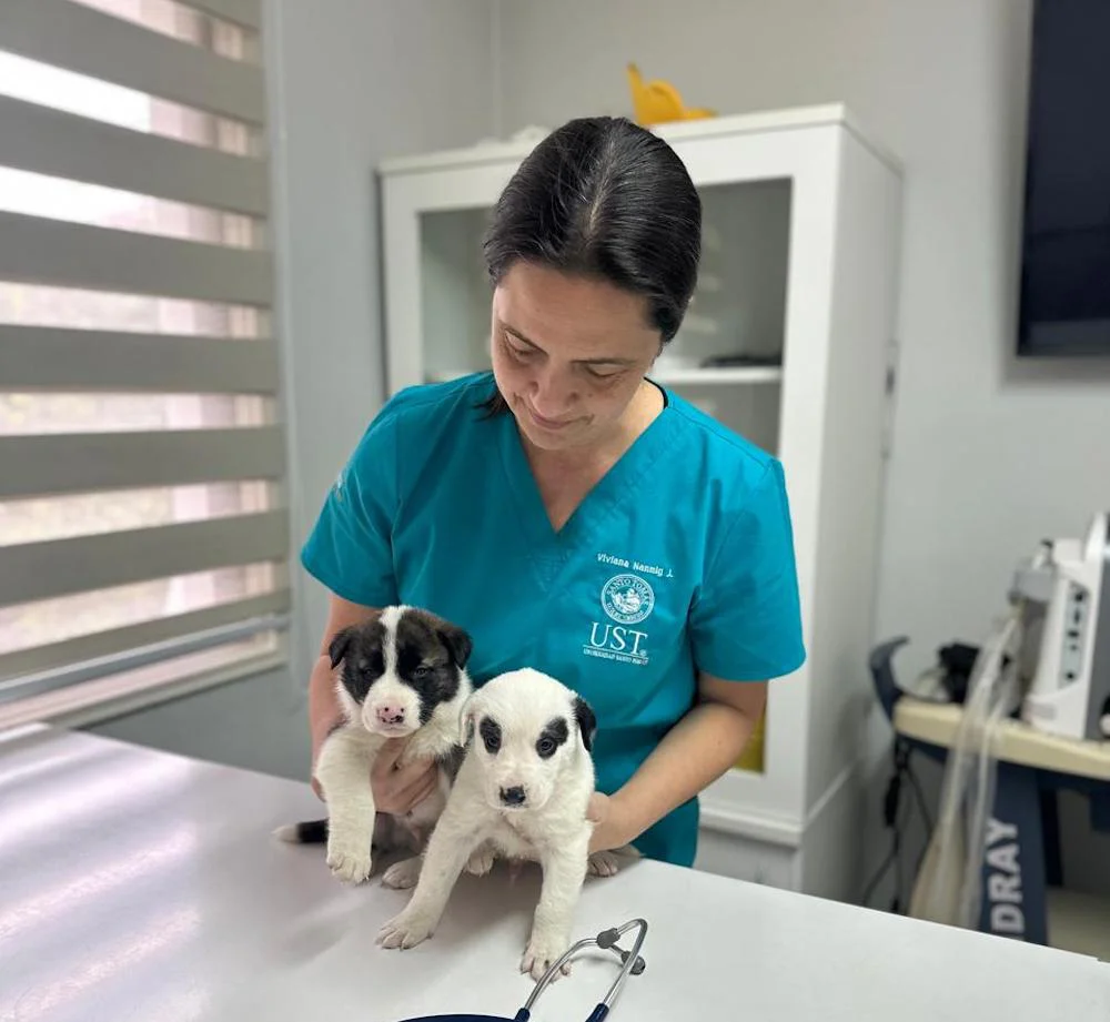 Mascotas ayudan a reducir la soledad y fortalecer el bienestar emocional