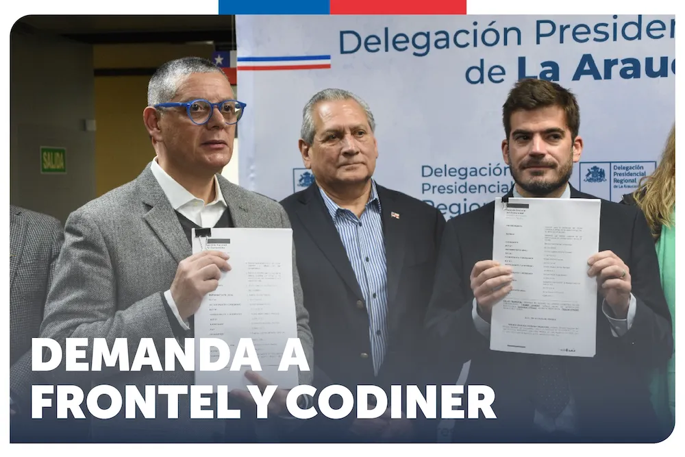 DEMANDA FRONTELYCODINER_Mesa de trabajo 1-02