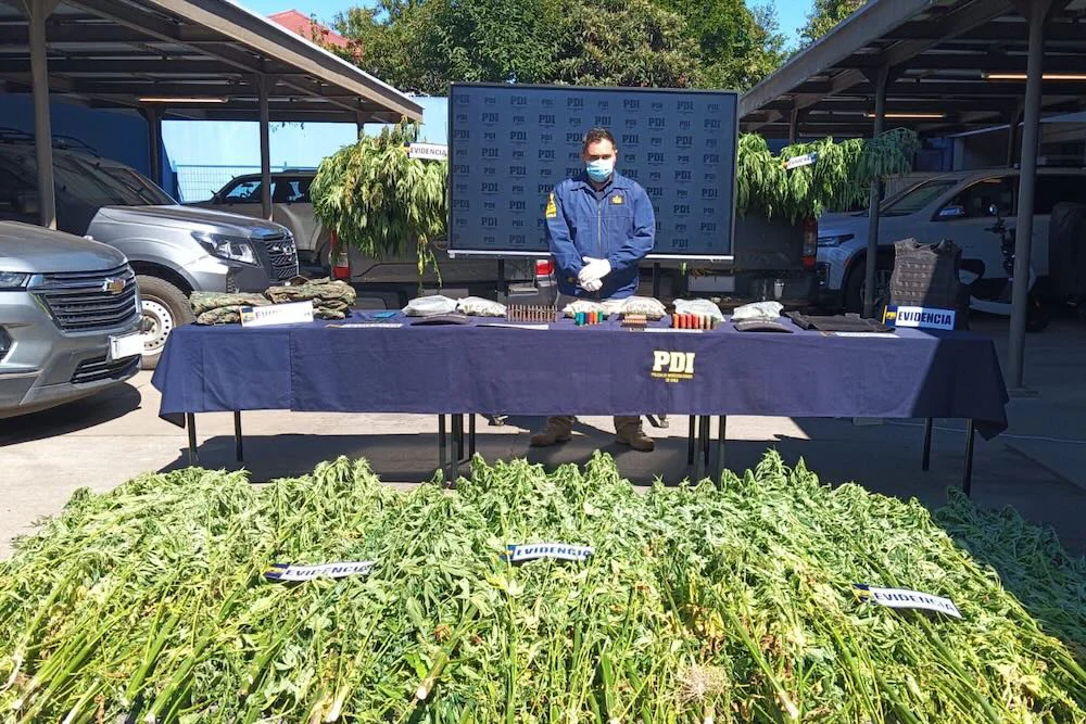 Incautacion de droga y arma con proyectiles en Ercilla