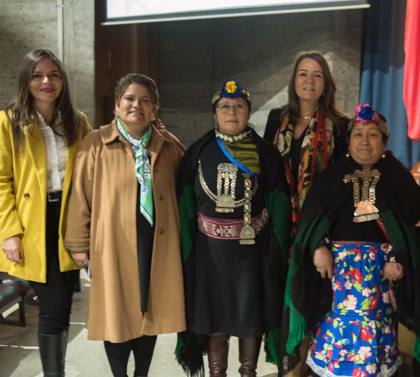 Mujeres Protagonistas de La Araucania