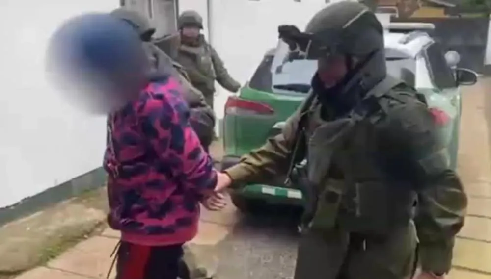 Fingian ser mapuche - captura de video