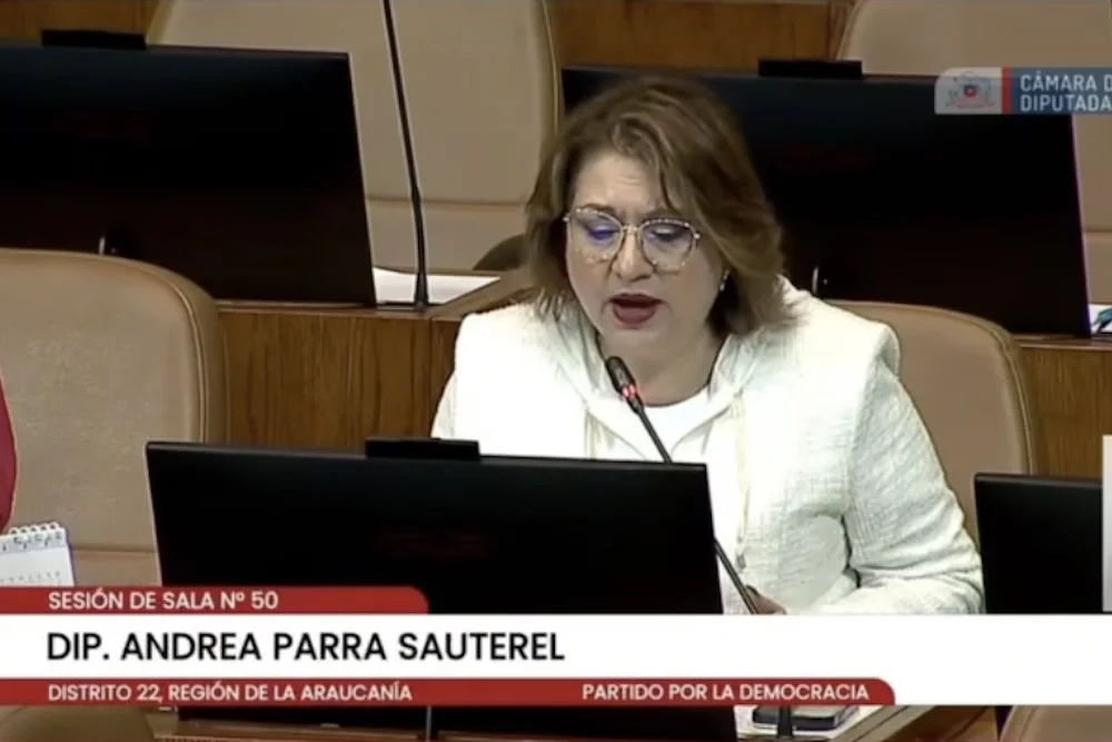 Diputada Andrea Parra por inundaciones en Angol