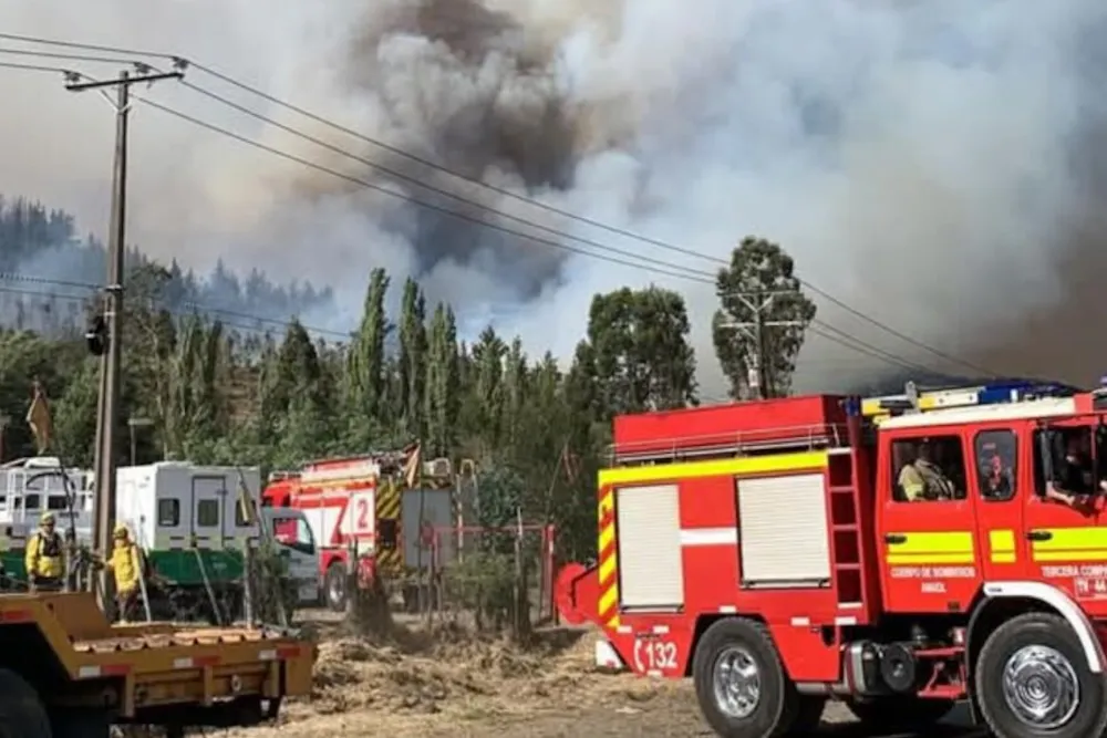 Incendio Moncoles - Los Sauces - 20 01 2025