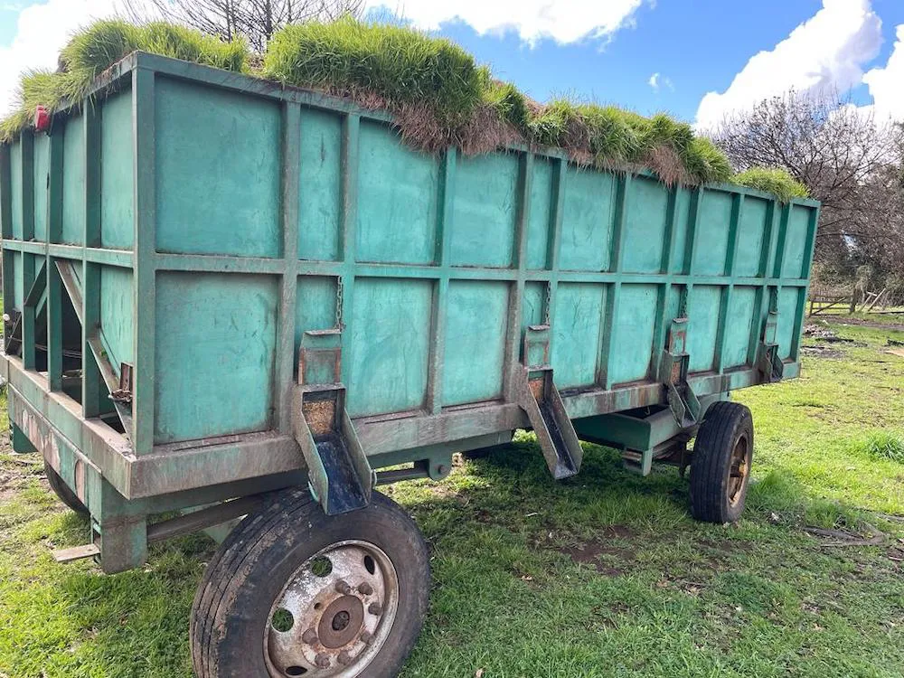 Coloso con cosecha de trigo Pailahueque