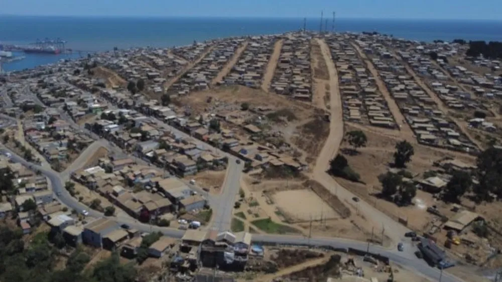 Megatoma San Antonio