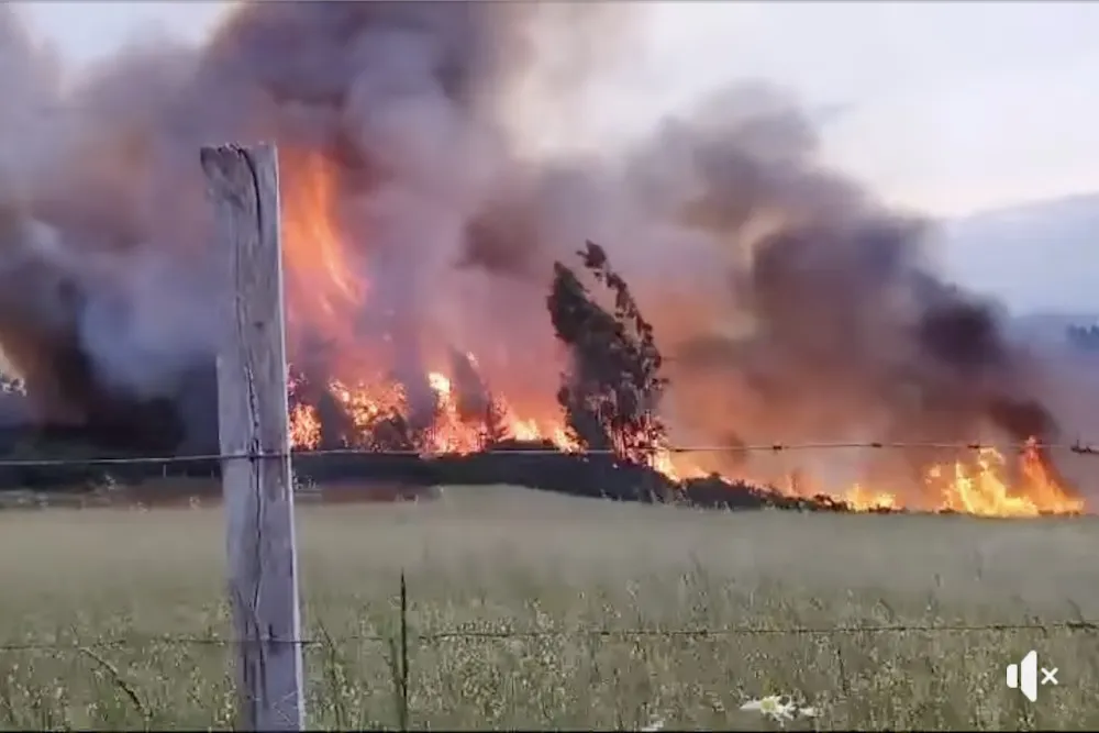 Incendio forestal en Carahue provoca Alerta Roja