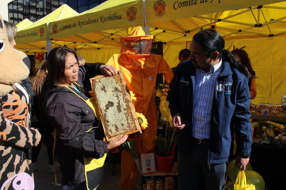 Dia Mundial de las Abejas Temuco