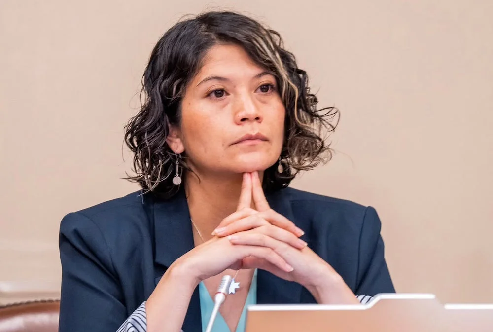 diputada Ericka Ñanco