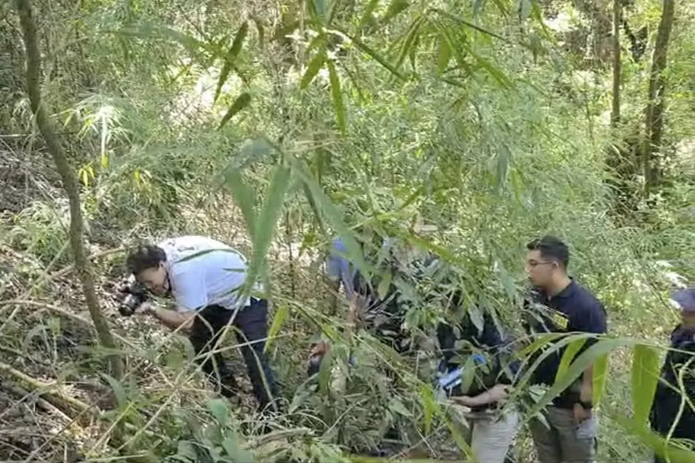 Encuentran craneo en ribera del rio Tlten en Villarrica