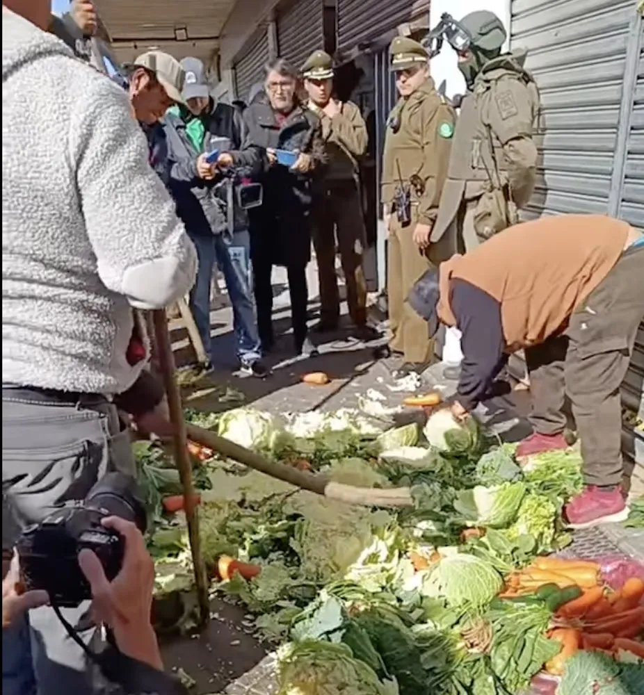 Hortaliceros de avenida Balmaceda
