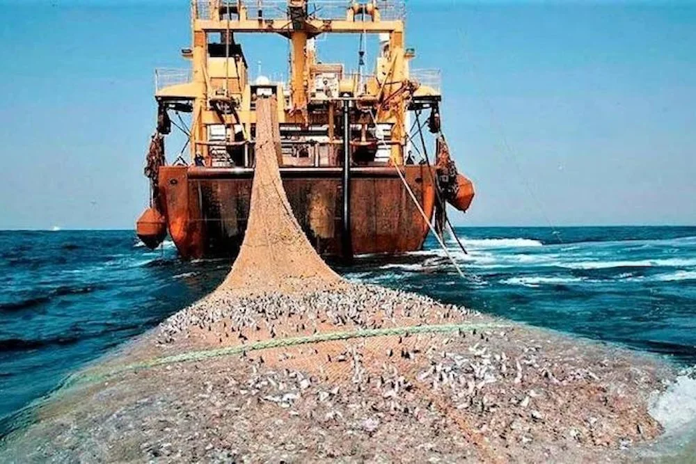Pesca con redes de arrastre