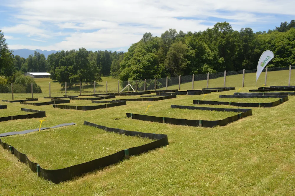 agricultura en la Cuenca del Lago Villarrica