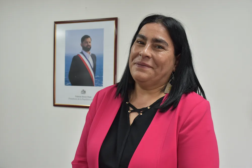 Marcela Castro Armijo